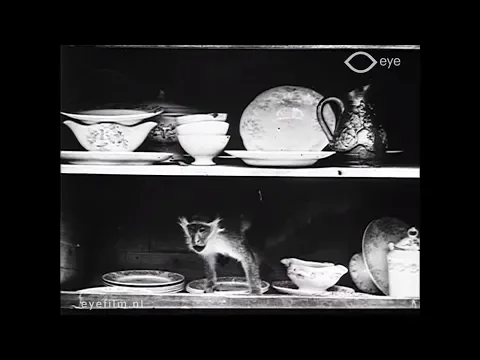 Le singe de Pétronille