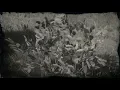 Evergreen Huckleberry Plant Location - Red Dead Redemption 2 RDR2 Herbs