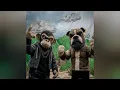 Cartel De Santa - Sapo (INSTRUMENTAL OFICIAL) @elcarteldesantatv 