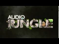 Sound - Approach and Removal Jungle