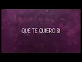 Dinámicos Jrs - Un Amor Así [Lyric Video]