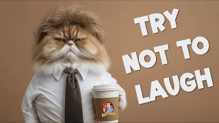 Best Animal Voiceovers That’ll Make You Lose It 🤣