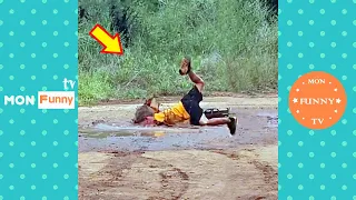 فيديو مضحك ومضحك حياة الناس 63 حاول ألا تضحك مقاطع فيديو مضحكة 2024 