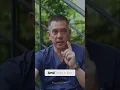 How Do Stem Cells Work