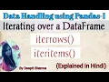 Iterating over a DataFrame iterrows iteritems Data Handling using Pandas-1 IP Class 12