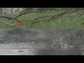 Getting Answers why we are seeing so much rain and what s causing it
