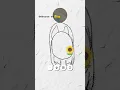 Download Lagu wow 😮 (gabut)#belajar #gambar 😆🙌 by//au