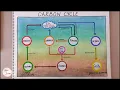 Carbon Cycle Mind Map Carbon and its Compounds Chapter Carbon Cycle Flowchart