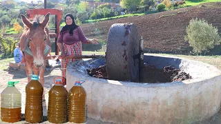 Traditional Olive Grinding And Olive Oil Extraction A Timeless Craft 