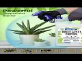Mighty Mint Gallon 128 oz Insect and Pest Control Peppermint Oil - Natural Spray for Spiders Ant