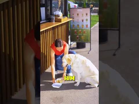 She Gave Food to a Homeless Dog 🥹