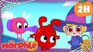 Le minuscule monstre d'Halloween | Morphle en Français | Dessins Animés Pour Enfants