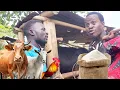 Download Lagu Tukimye Bintu Kubuko!! Omugole Yanoba Kati Tubizaayo