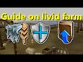 Livid Farm 2021 Guide