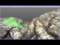 Browedit 2 0 demo