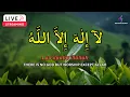 Download Lagu Daily Dzikir LAILAHAILLALLAH for Stress Relief I Dzikir for Easy and Restful Sleep #5