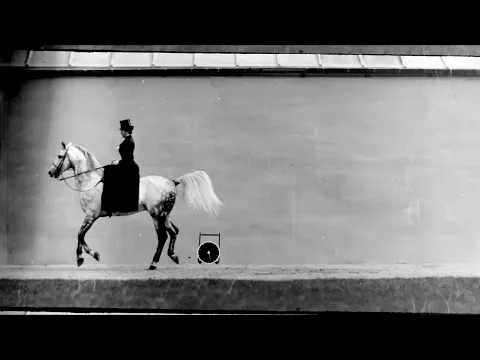CHEVAL BAI, MONTE PAR THERESE RENTZ, PETIT GALOP 1899 Silent film Étienne Jules Marey