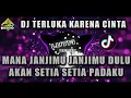 Download Lagu DJ MANA JANJIMU JANJIMU DULU AKAN SETIA PADAKU | TERLUKA KARENA CINTA FT @Syahriyadi VIRAL TIKTOK