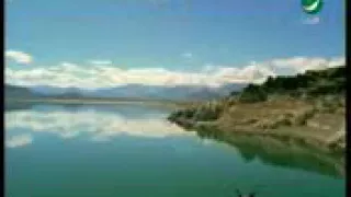 اغنيه تبكي الطيور وائل كفوري التي ابكت الكثير 