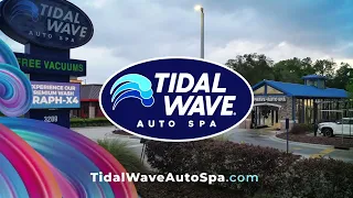 Bugs Are Destroying Your Paint Here s How to Stop It Tidal Wave Auto Spa