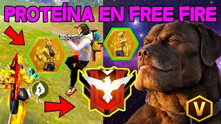 ESTOY MAMADÍSIMO! PROTEÍNA EN FREE FIRE!!!