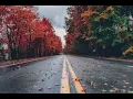 Lagu No copyright song | SADBOIS, ROY KNOX, JAKE NUEMAR - NEED YOU AGAIN