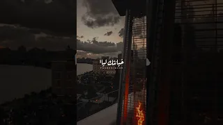 كنت بكدب كل الدنيا وكل الناس 