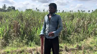 Mother and san comedy #comedy #funny #comedymove #tamilcomedy 