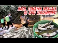 Download Lagu Tidak sia-sia berjalan jauh ke hulu sungai dapat hasil tangkapan yang lumayan