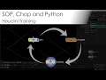 SOP Chop and Python - Houdini Training