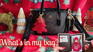 What s in my mini bags Christmas 2025 Coach mini city tote