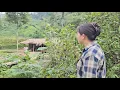 Download Lagu Hang realized how much she missed Nam when she couldn't see him.