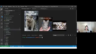Hello World in 3 languages beginning coding with C Python and Javascript LRN239