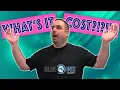 How much does Blue Iris cost