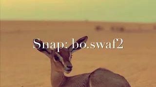 بخيت المرر   ياعنود الصيد قله دندنها