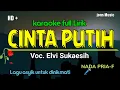 Download Lagu CINTA PUTIH || ELVI SUKAESIH || KARAOKE DANGDUT || NADA PRIA 