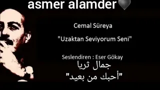شعر تركي مترجم أحبك من بعيد  جمال ثريا  دندنها