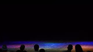 مهرجان بم بم اوكا و اروتيجا وشحته كاريكا  مهرجان بم بم اوكا و اروتيجا وشحته كاريكا