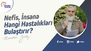 Nefis, insana hangi hastalıkları bulaştırır?