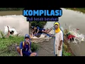 Lagu Kumpulan video si dongo mancing