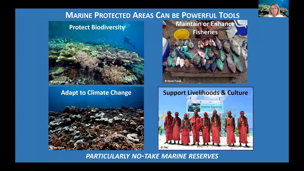Changing Tides | Tai Tōrua - Designing Marine Protected Areas to Benefit People and Nature