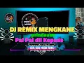 Download Lagu DJ REMIX MENGKANE PRINDAVAN Pal Pal dil Kepaas VIRAL di TIKTOK