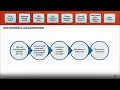 Single cell antibody discovery using Islands of Automation