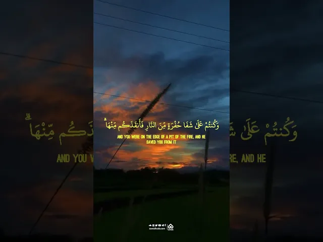 ⁣🎞فاصل قرآني وَٱعْتَصِمُواْ بِحَبْلِ ٱللَّهِ جَمِيعًا وَلَا تَفَرَّقُواْ..| القارئ مصطفى عبد ربه