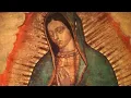 Download Lagu ST Pius Catholic Choir _Mayi Maria Mai Wampingo