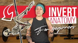 which muscles do we use full nerdy breakdown of the pole invert for beginners 