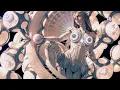 Download Lagu Ayunda - The Machine That Dreams Us All (Metalcore/Djent) [Official Visualizer]