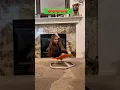 Download Lagu mas vueltas hija mia 😂😂😂😂 #spin #spinning #daughter #fypage t#shorts #shorts #fyp