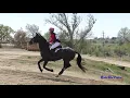 045XC Kayleen Crowley on Whiskey Up Advanced Cross Country Twin Rivers Ranch April 2021