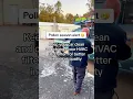 Pollen Season in South Carolina